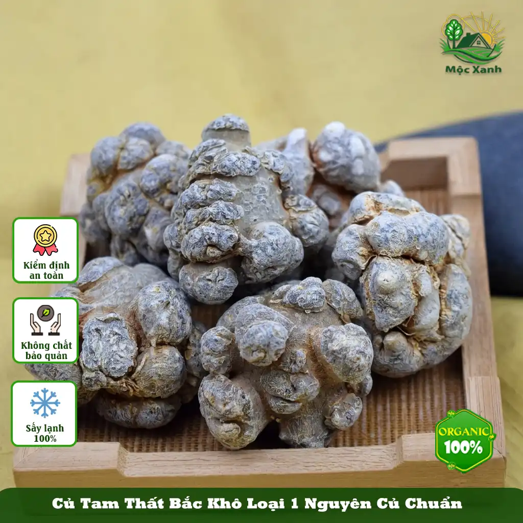 Củ Tam Thất Bắc Khô Nguyên Chất 100% - Phơi Khô Tự Nhiên, Giá Tốt