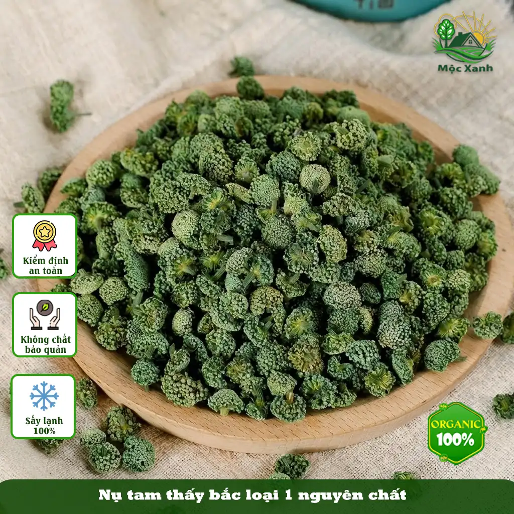 Nụ Hoa Tam Thất Bắc Sấy Khô Loại 1 - Nguyên Nụ Khô Tự Nhiên